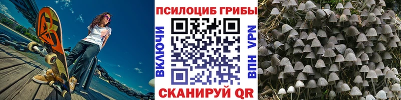 Псилоцибиновые грибы прущие грибы  Кореновск 